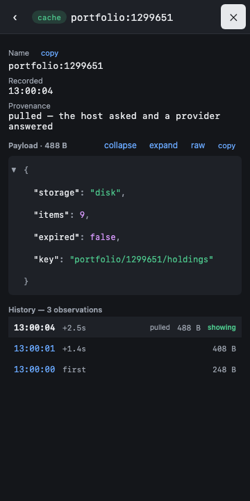 Overlay signal detail showing a cache payload and its history